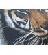 Tapis de jeux polyester - 40x60 - Tiger