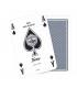2 jeux Réf.2508 Fournier - 100 % plastiques - 55 cartes